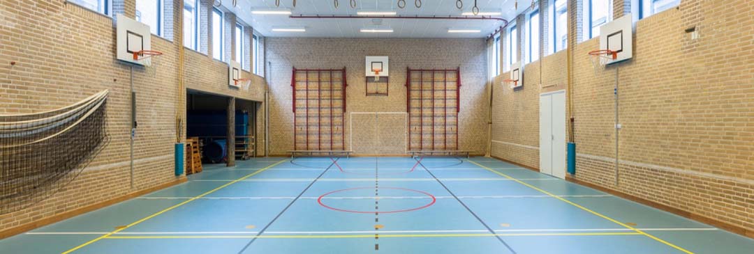 Vakleerkracht bewegingsonderwijs – De Gouw